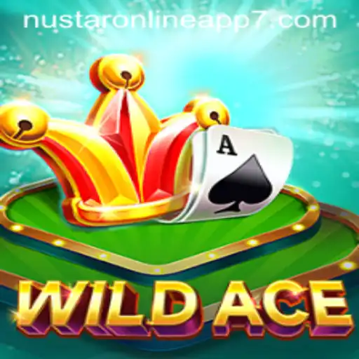 Exploring the Thrills of WildAce in the Digital Arena